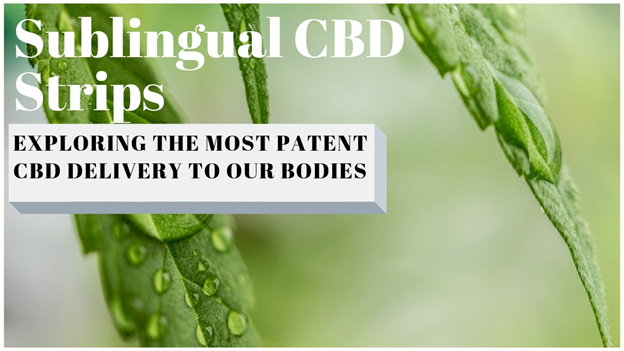 Exploring sublingual CBD strips- the most unique way of delivering CBD to your body